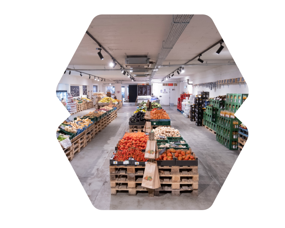 Thebanr-bio-market-seo-blog-référencement